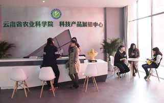 云南省农业科学院科技产品电子商务营销中心成立